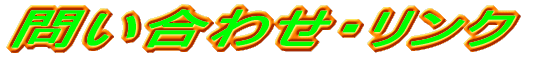 ₢킹EN